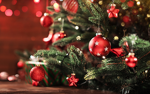 FROHE WEIHNACHTEN WÜNSCHT ESBE